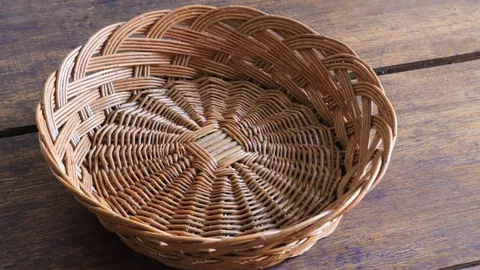 2025年3月21日全新发布：少儿篮球训练指南